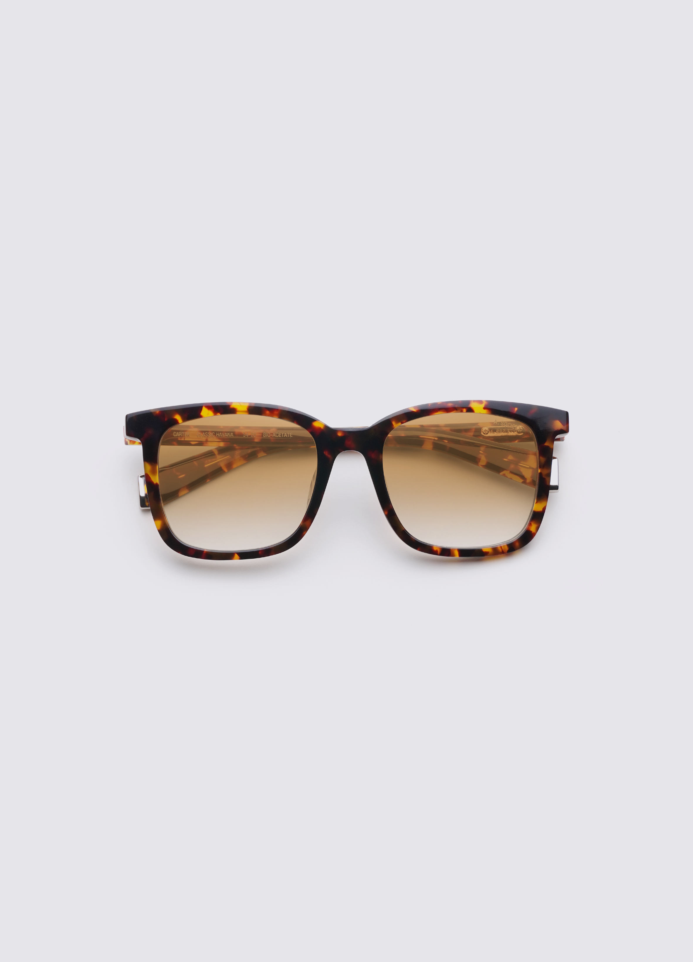 CARTER_CLASSICHAVANA_AMBERGRADIENT