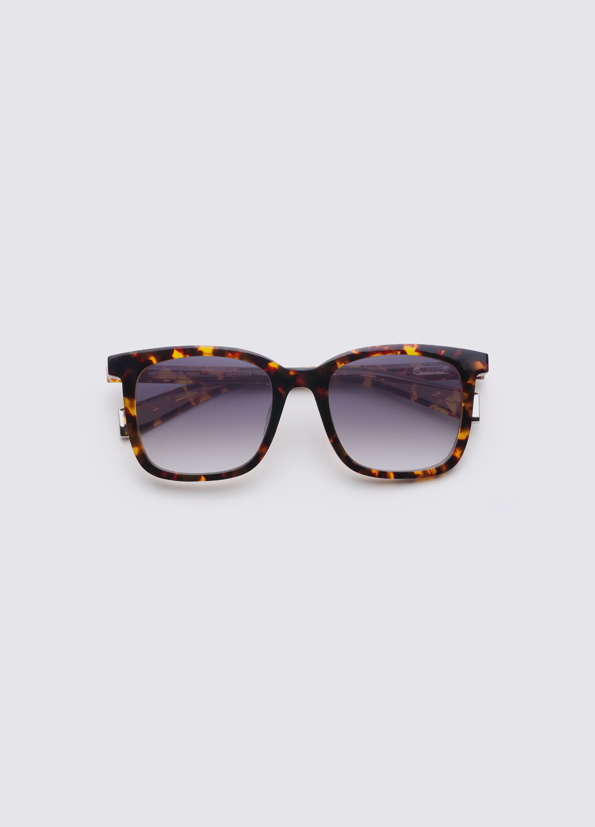 CARTER_CLASSICHAVANA_PURPLEGRADIENT